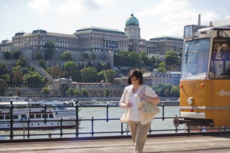 Uitzicht over de Donau en Castle Hill