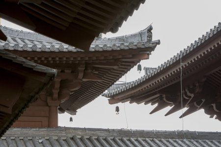 Daken van de tempel gebouwen