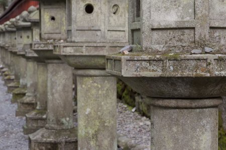 Lantaarn bij de tempels van Nikko