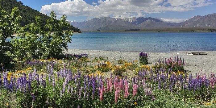 Lake Tekapo