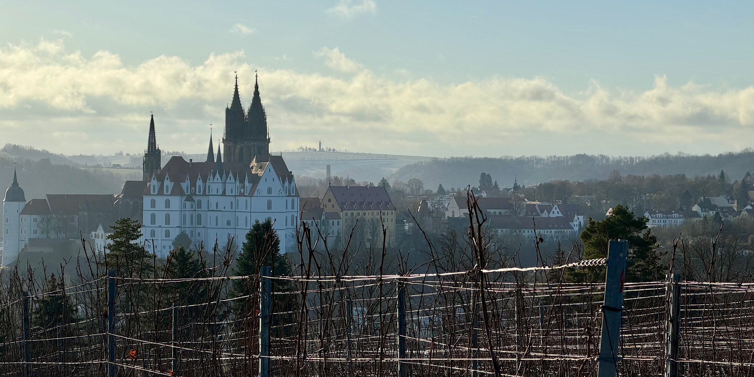 Uitzicht over Meissen vanaf de overkant van de Elbe