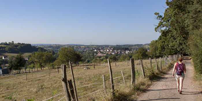 Wandeling rond Niederbronn-les-Bains