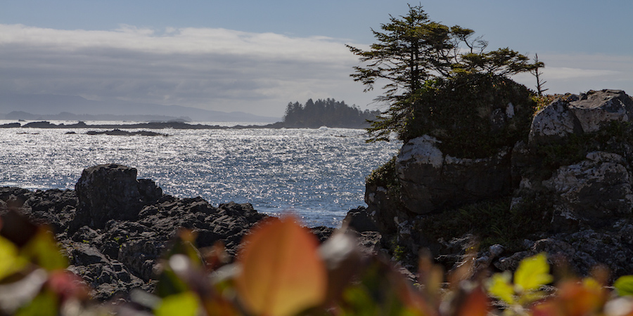 Ucluelet, Vancouver Island