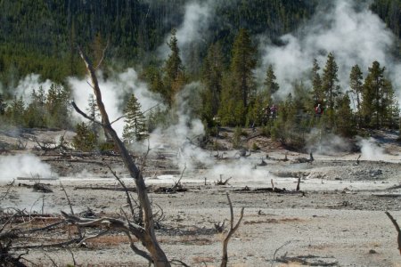 Overal stoom in het Norris geyser basin