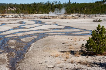 Riviertjes warm water uit een geyser