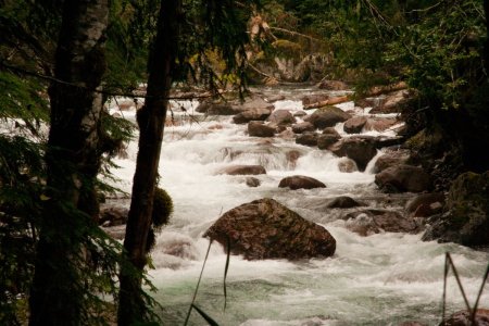 White water riviertje in de North Cascades