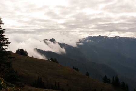 Wolken glijden over de bergen in Olympic National Park