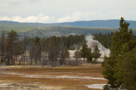 The Lower Geyser Basin