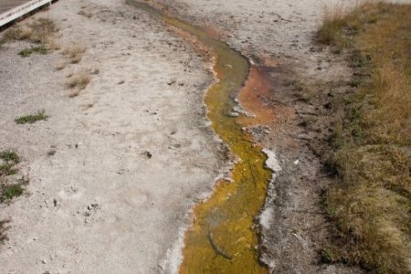 West Thumb Geyser Basin