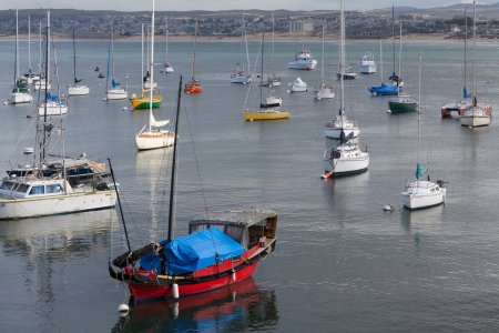 Bootjes in de Monterey Bay