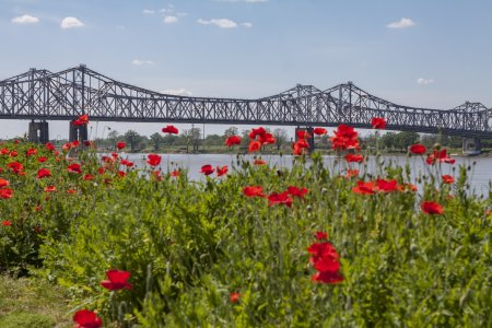 De brug over de Mississippi bij Natchez