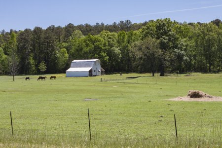 Het platteland van Mississippi en Alabama