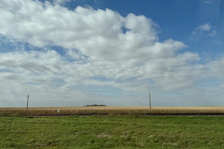 Over de een route van 400km zien we alleen maar mais