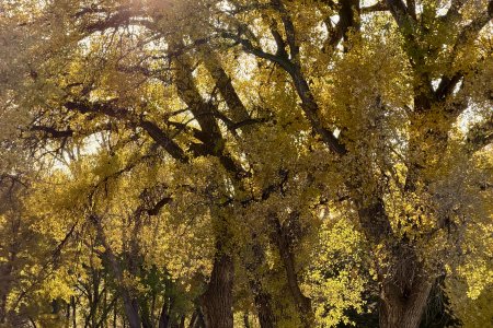 Op de camping van Fort Robinson State Park