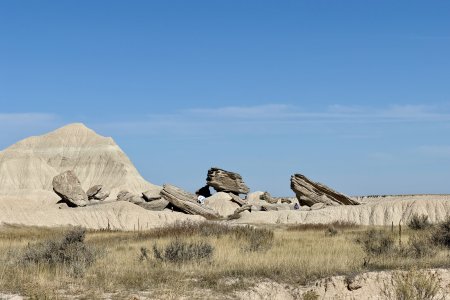 De toadstools worden door een bezoekster beklommen
