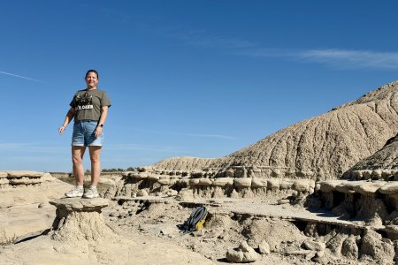 Syl op een toadstool