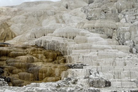Noord Yellowstone