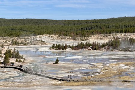 Uitzicht over Norris Geyser Basin