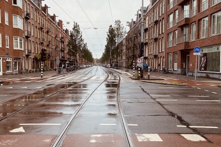 Uitgestorven in de de Baarsjes