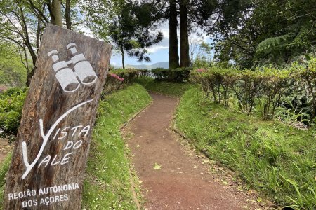 Langs de hele kust en in de bergen zijn uitzichtpunten gemaakt