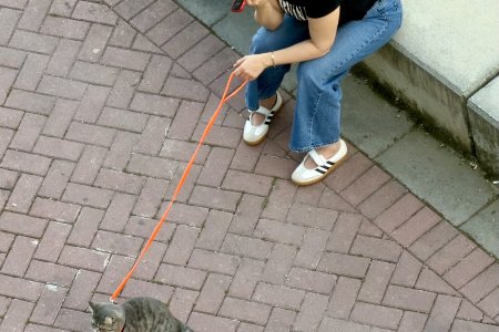 Vrouw laat kat uit
