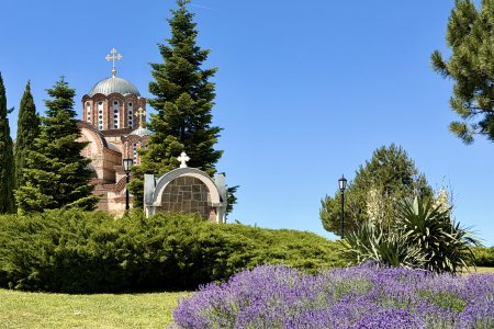Lavendel op de Crkvina heuvel