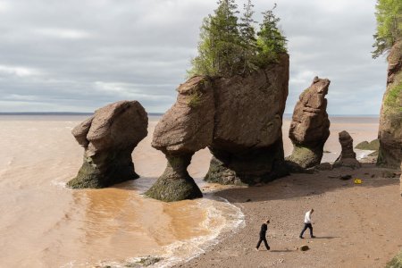 De Hopewell Rocks, ook wel de Flowerpots Rocks genoemd