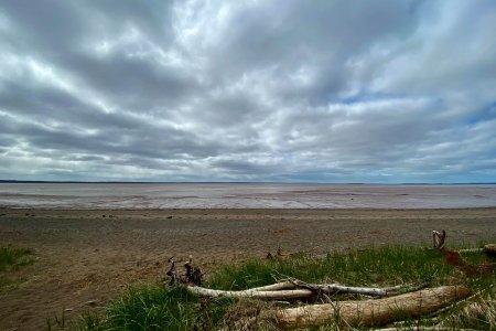 Duistere wolken in Hopewell Rocks Provincial park 