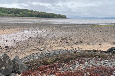 Laagwater in Digby aan de Bay of Fundy