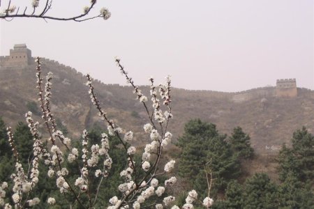 Beijing