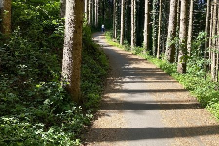 Vanaf de camping is het 20 minuten wandelen naar het dorp Alpirsbach