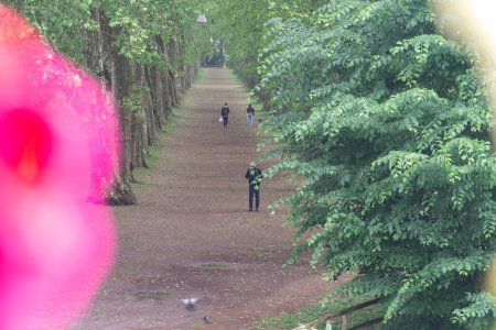 De platanenallee op het Neckareiland in Tübingen