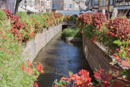 Kanaaltje vol gehangen met bloemen in Colmar