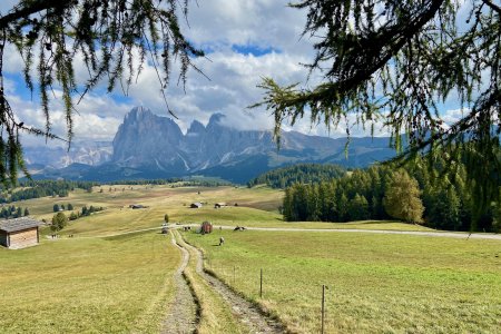 Sassolungo vanuit de Seiser Alm