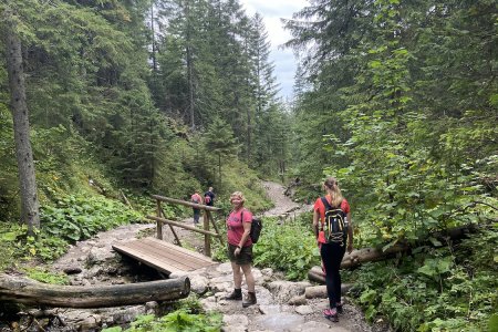 Leuke wandeling door bos en langs een riviertje