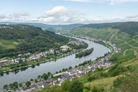 Boven Zell is goed te zien hoeveel druivenranken er langs de rivier staan