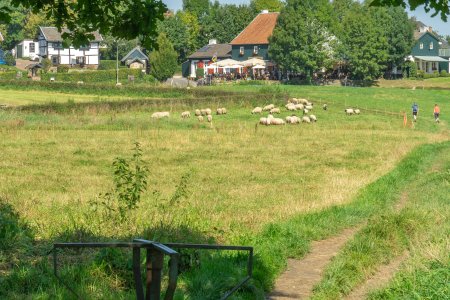 Via een stegelke (draaihek) lopen we zo Epen in