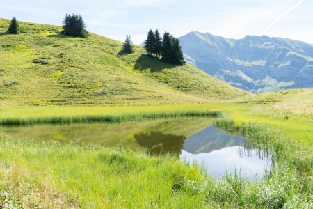 Een klein bergmeer bij Steffisalp