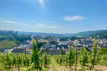 Uitzicht over Saarburg vanaf een wijnberg