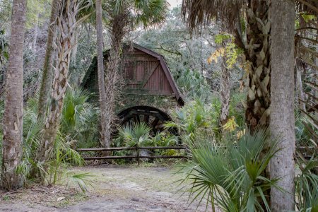 Watermolen in Ocala national forest