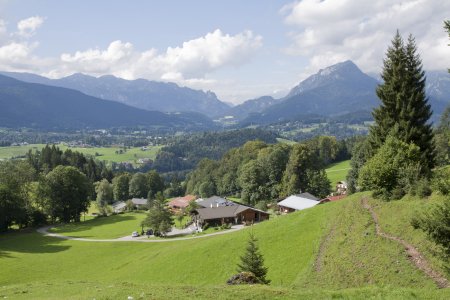 Mooie groene velden op de Jenner berg