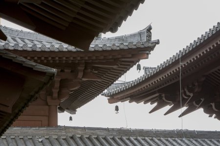 Chi Lin Nunnery