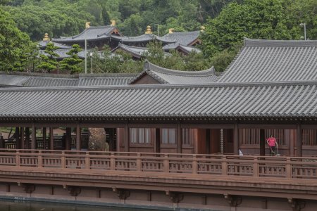 In de achtergrond de Chi Lin Nunnery vanuit de tuinen
