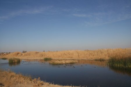 Deze Wet Lands worden door vogels gebruikt tijdens de trek