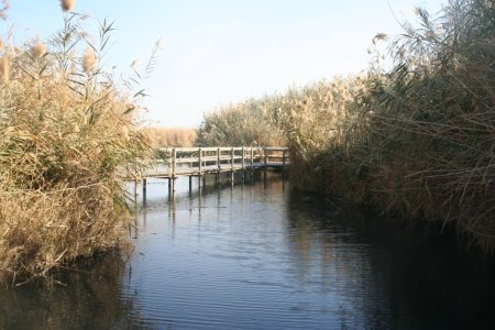 Midden in de woestijn zijn echte &#039;Wet Lands&#039; te vinden