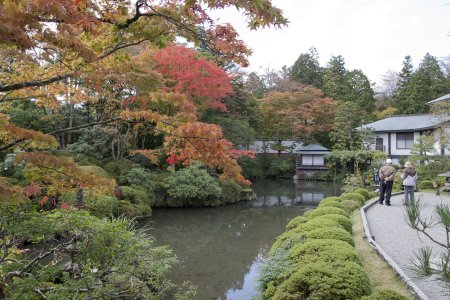 Mooie herfst kleuren in de Shoyoen tuin