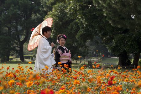 Bruidspaar in het Hama-Rikyu Teien park