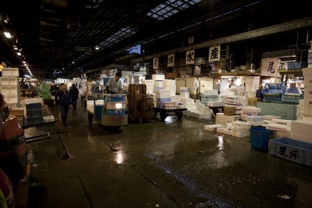 Tsukiji vismarkt