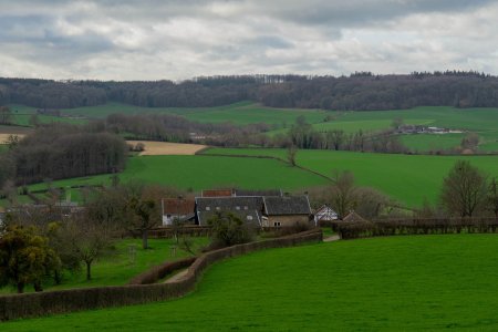 Wandelen tussen de heggen richting het Geuldal