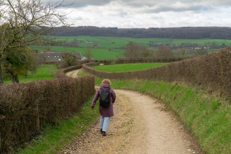 Wandelen tussen de heggen richting het Geuldal